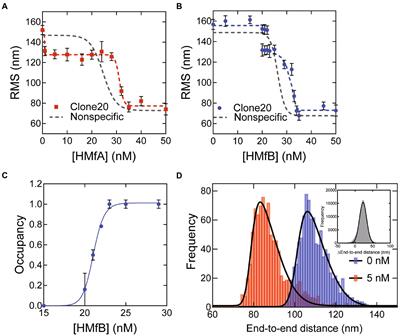 Specific DNA binding of archaeal histones HMfA and HMfB